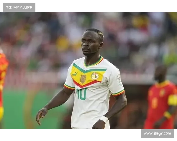 非洲足球入球最多赛事 非洲足球入球最多赛事是什么